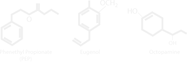 Hexa-hydroxyl molecules